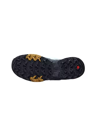 SALOMON | Damen Multifunktionsschuhe X ULTRA™ 4 GTX | 